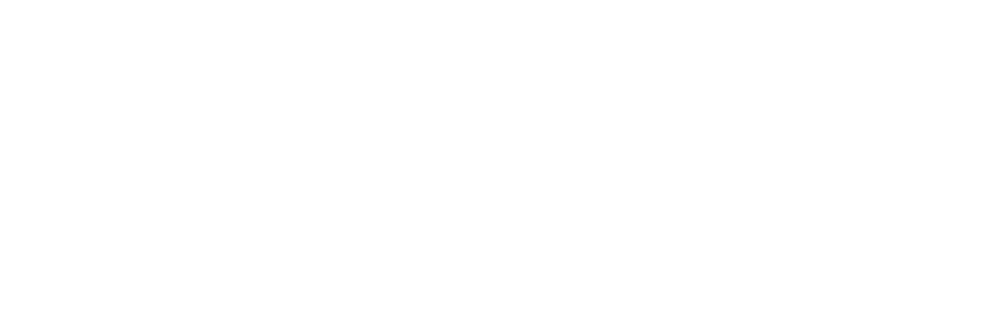 Viken-logo-skjerm-hvit-RGB