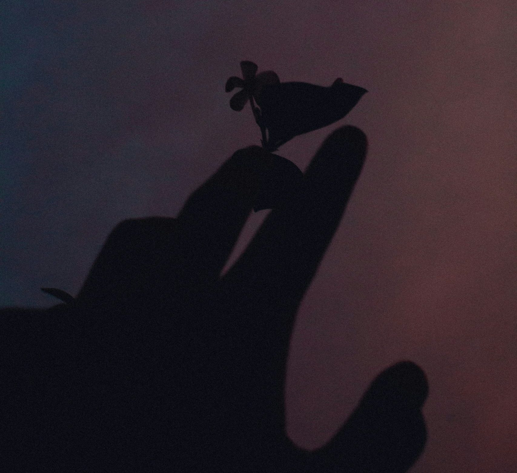 kanishk-agarwal-fsix7YjCHeo-unsplash